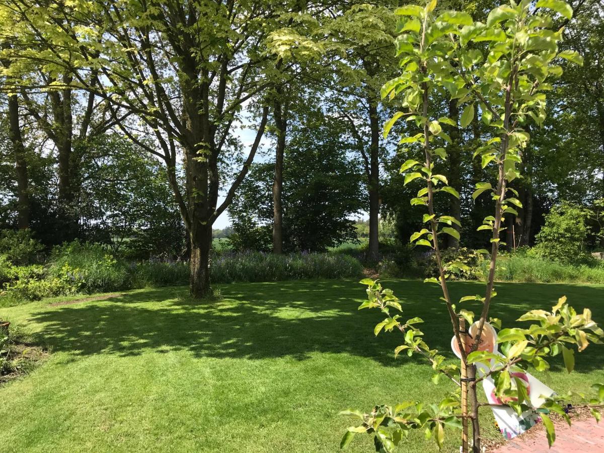 Het Uilennest Bed and Breakfast Exloo Esterno foto