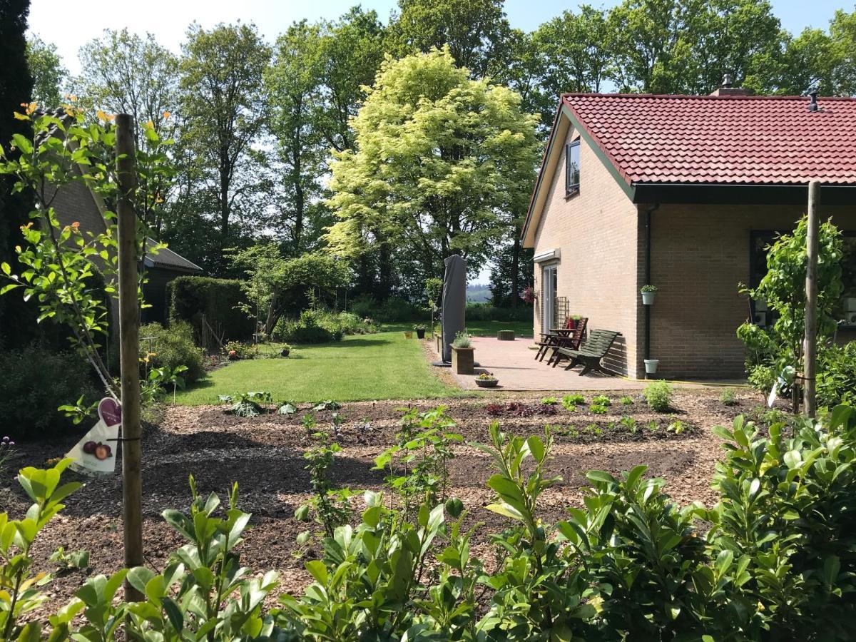 Het Uilennest Bed and Breakfast Exloo Esterno foto