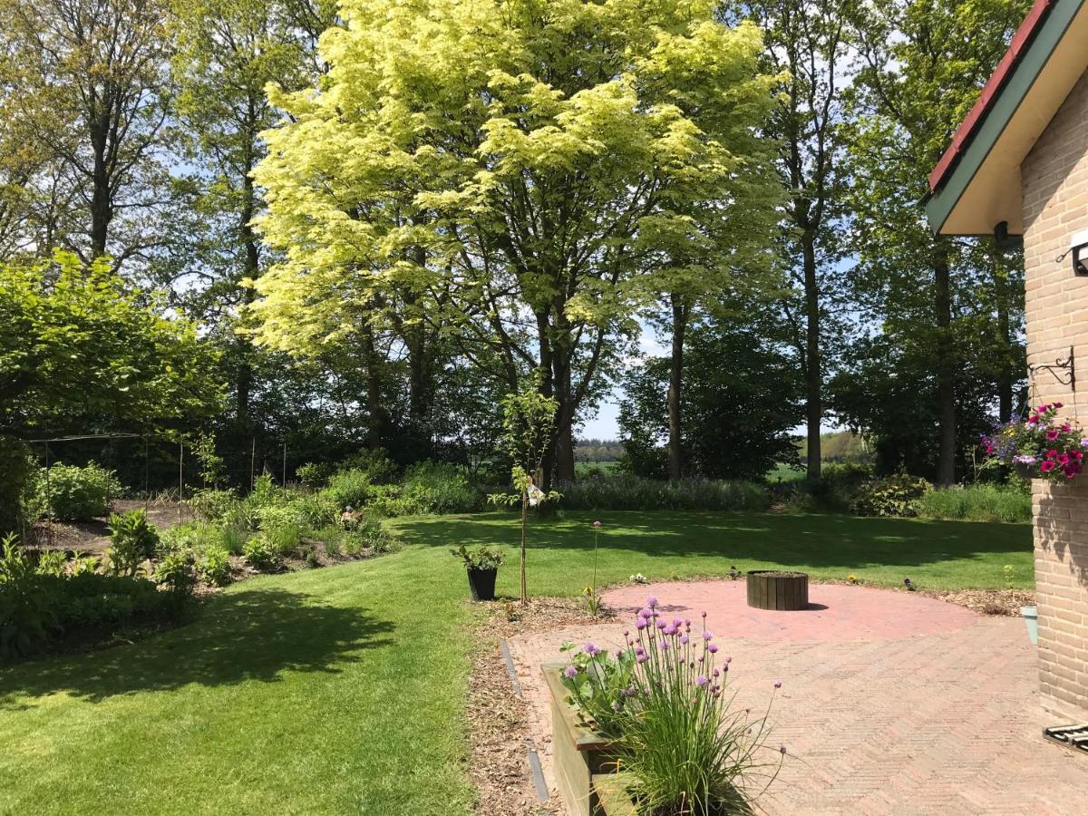 Het Uilennest Bed and Breakfast Exloo Esterno foto